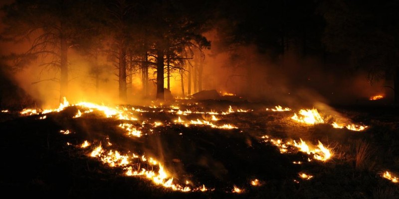 Transitions of Scorched&nbsp;Earth