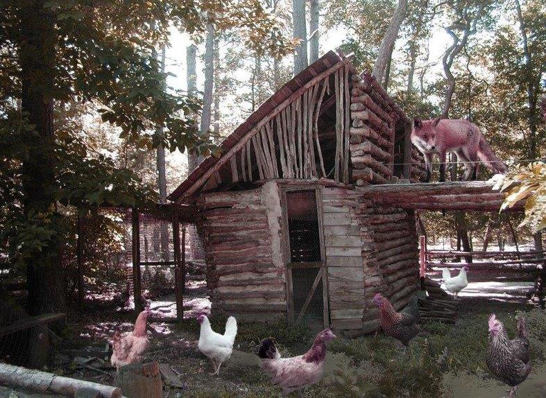 Who Will Watch the&nbsp;Watchers?