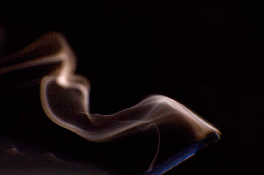 Controlled Burn:  Smoke, No&nbsp;Fire