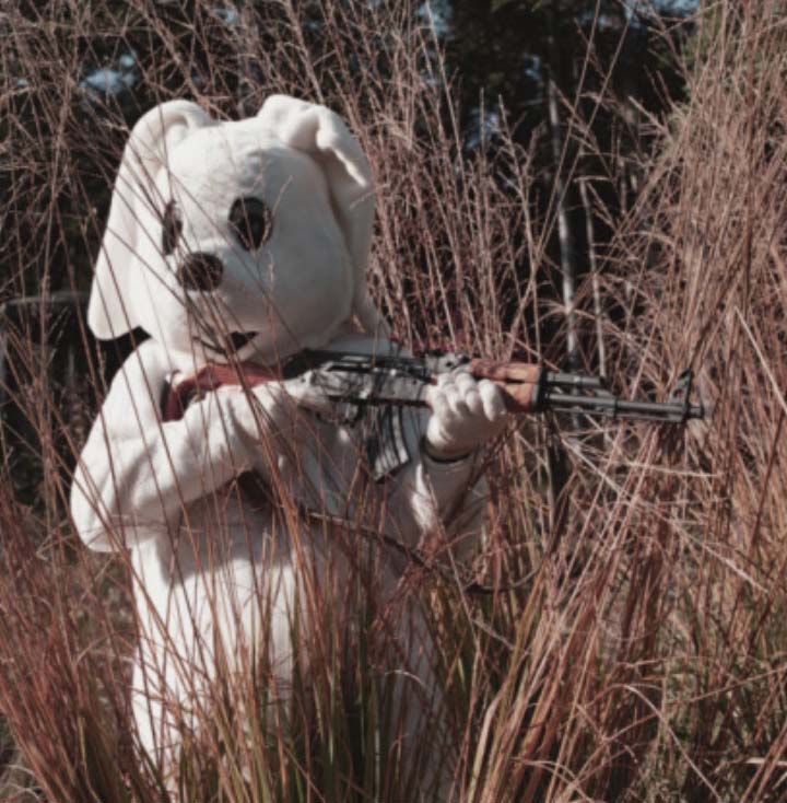 BREAKING:  Rabbits Found at Bottom of Rabbit&nbsp;Hole