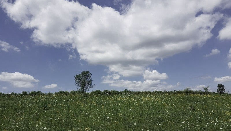 Cliché Series # 2:  Racing Against the&nbsp;Sun