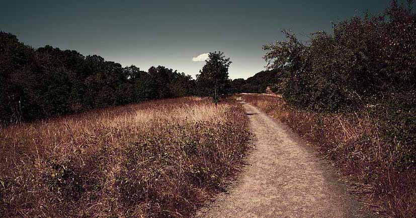 Destiny Looms: Choose Your Way or it Drags&nbsp;You