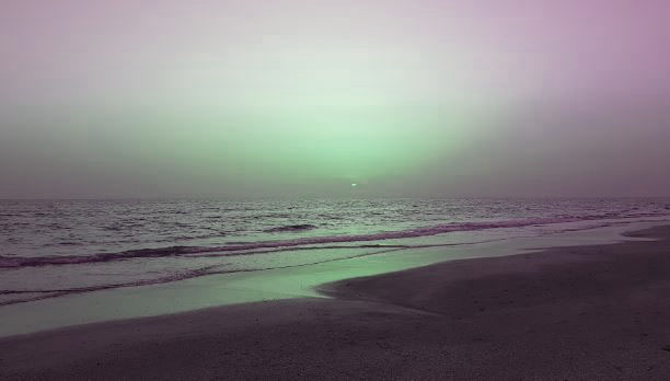 Time Passages & Fears Emergent