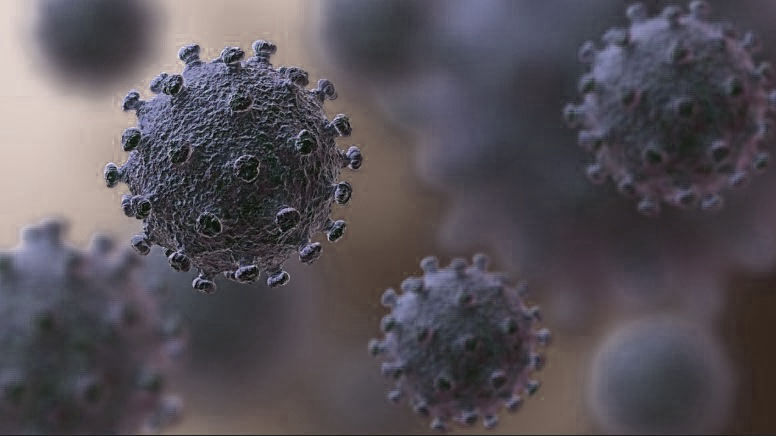 The Pluses and Minuses of Perceived Slyness, Stuffed Sinuses, and&nbsp;Coronaviruses