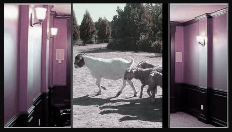 The Borg: A Zombie Nation of Confined Corpses Convulsing in a&nbsp;Matrix