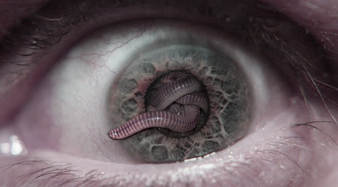 <strong>The Intentionality of Parasites and Vampires</strong>