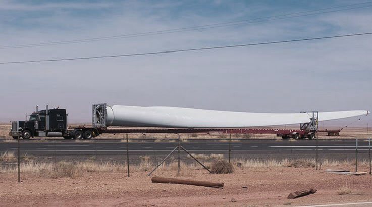 Common Sense and Memes Are Viruses to the New World&nbsp;Order